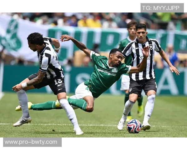 阿媒报道帕尔梅拉斯欲以2000万欧元收购阿尔马达50股份